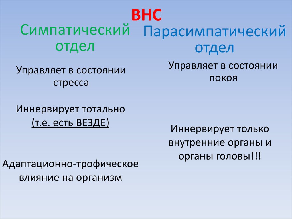 ВНС