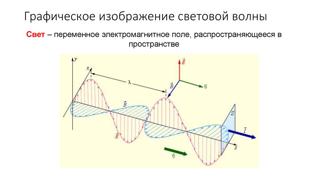 Графическое изображение световой волны