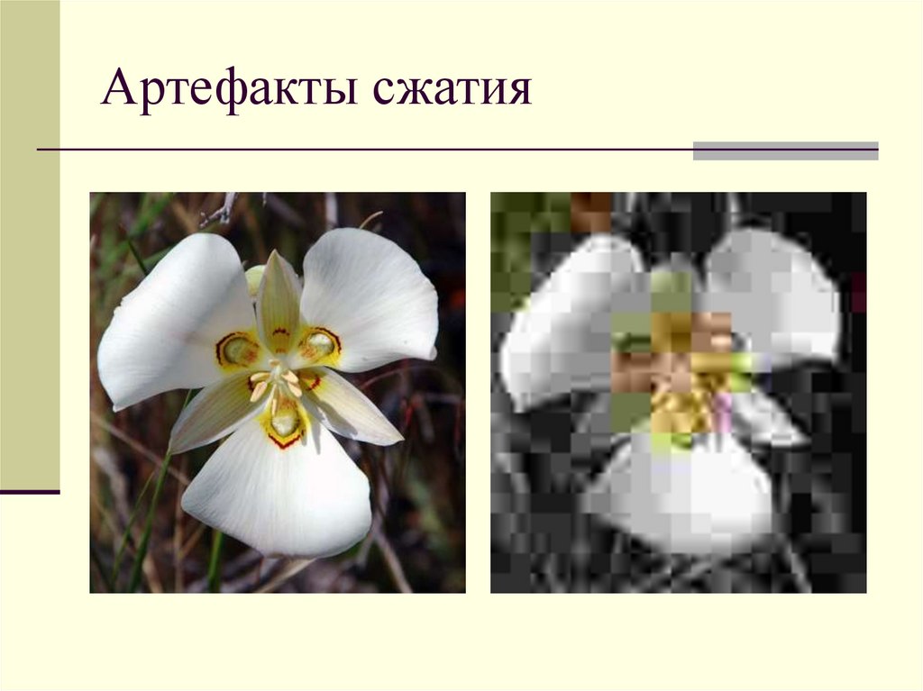 Артефакты сжатия