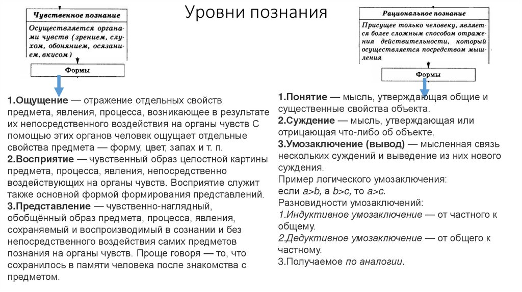 Уровни познания