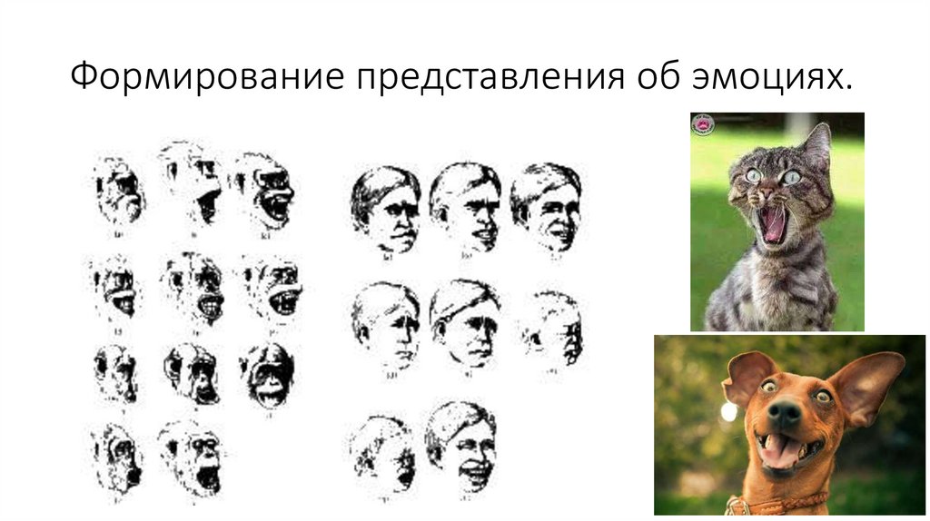 Формирование представления об эмоциях.