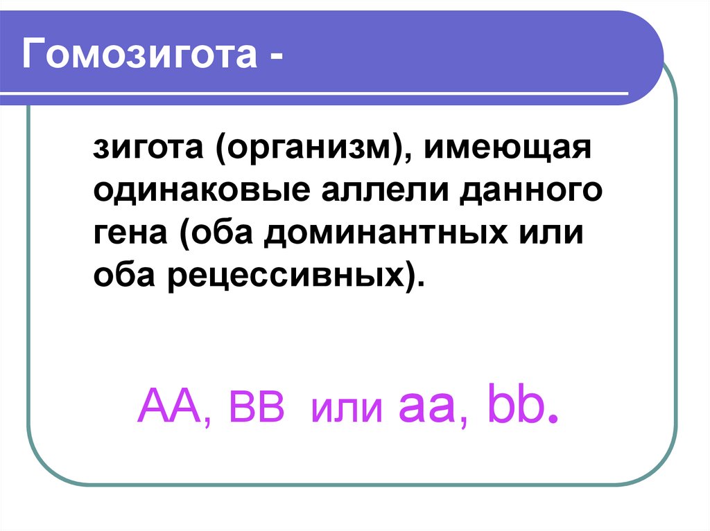 Гомозигота -