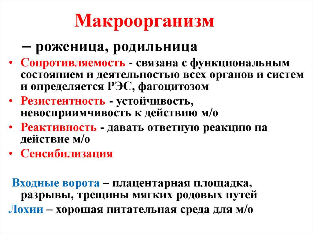 Макроорганизм