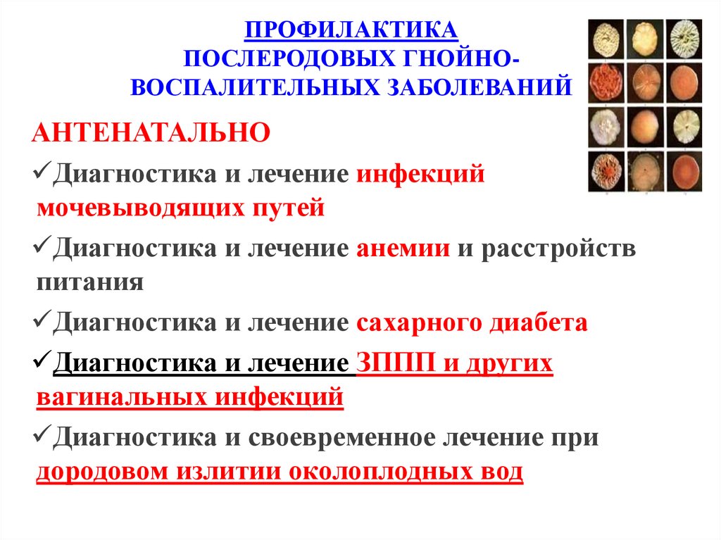 ПРОФИЛАКТИКА ПОСЛЕРОДОВЫХ ГНОЙНО-ВОСПАЛИТЕЛЬНЫХ ЗАБОЛЕВАНИЙ