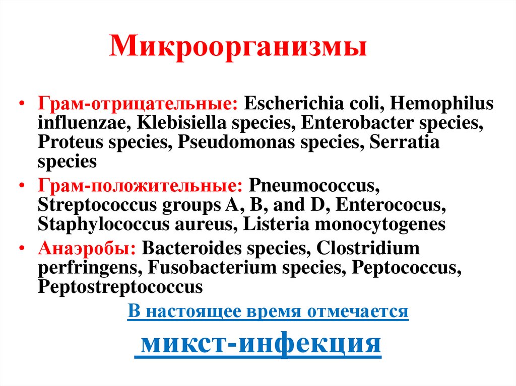 Микроорганизмы