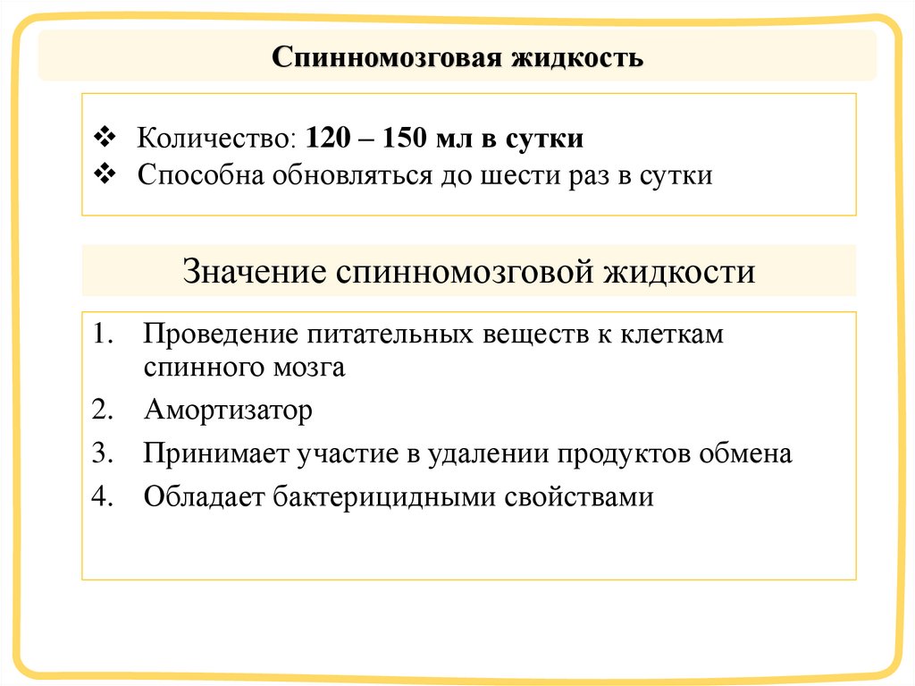 Значение спинномозговой жидкости