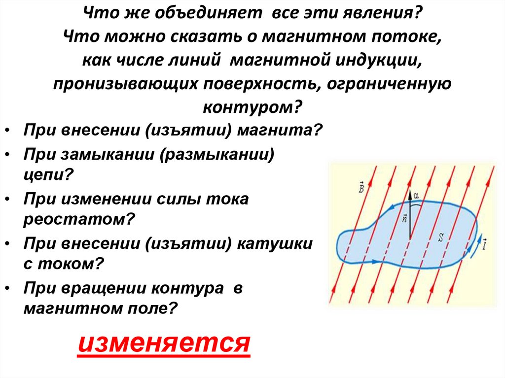 Что же объединяет все эти явления? Что можно сказать о магнитном потоке, как числе линий магнитной индукции, пронизывающих