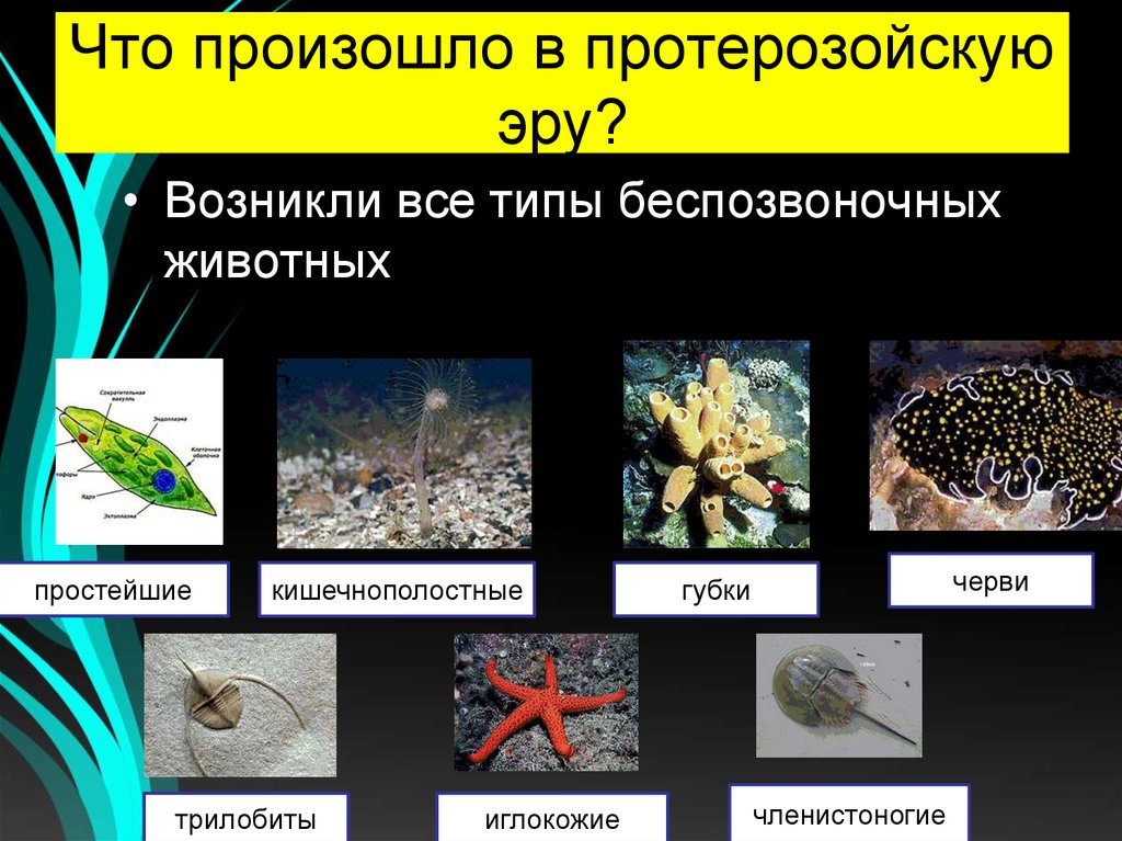 Что произошло в протерозойскую эру?