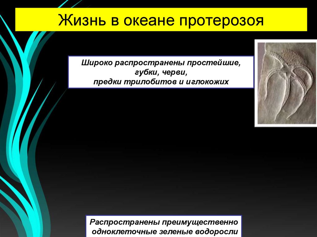 Жизнь в океане протерозоя