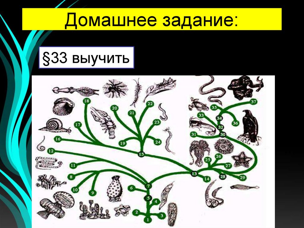 Домашнее задание: