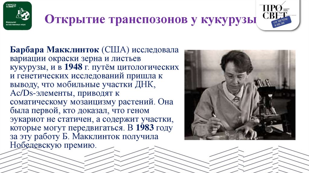 Открытие транспозонов у кукурузы