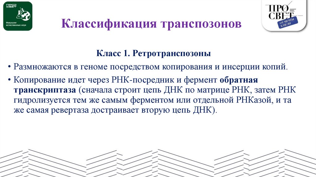 Классификация транспозонов