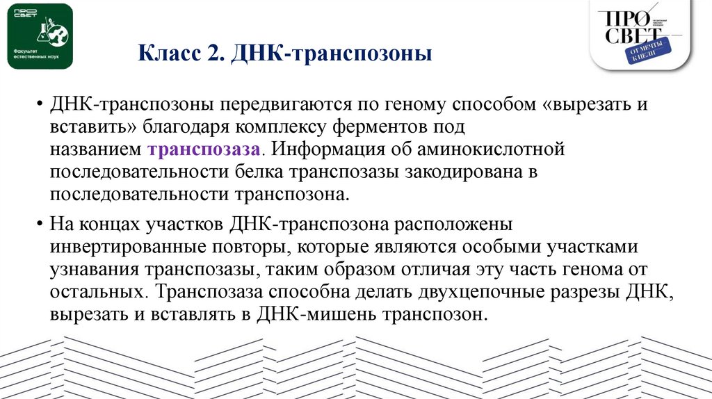 Класс 2. ДНК-транспозоны