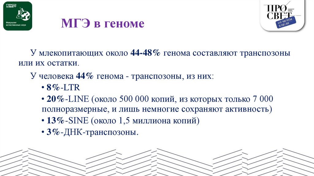 МГЭ в геноме