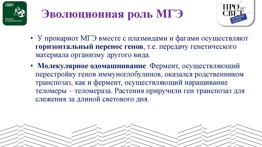 Эволюционная роль МГЭ