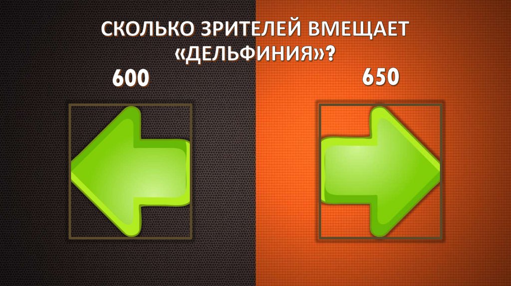 СКОЛЬКО ЗРИТЕЛЕЙ ВМЕЩАЕТ «ДЕЛЬФИНИЯ»?
