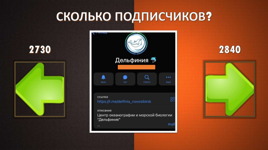 СКОЛЬКО ПОДПИСЧИКОВ?