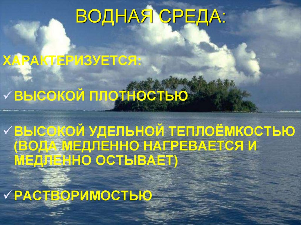 ВОДНАЯ СРЕДА: