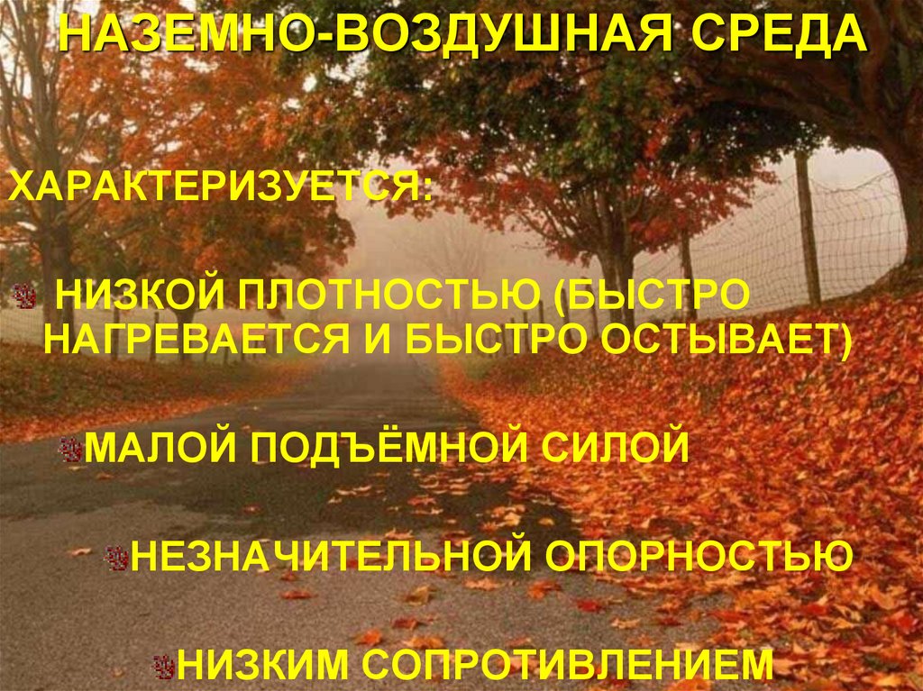 НАЗЕМНО-ВОЗДУШНАЯ СРЕДА