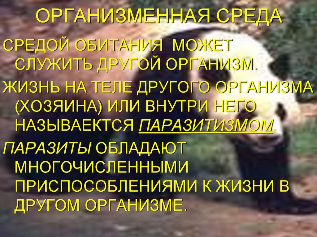 ОРГАНИЗМЕННАЯ СРЕДА