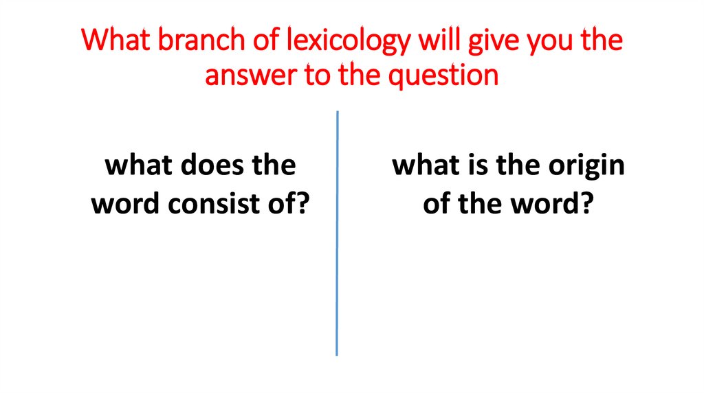 What branch of lexicology will give you the answer to the question