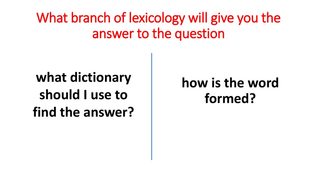 What branch of lexicology will give you the answer to the question