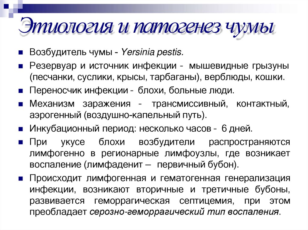 Этиология и патогенез чумы