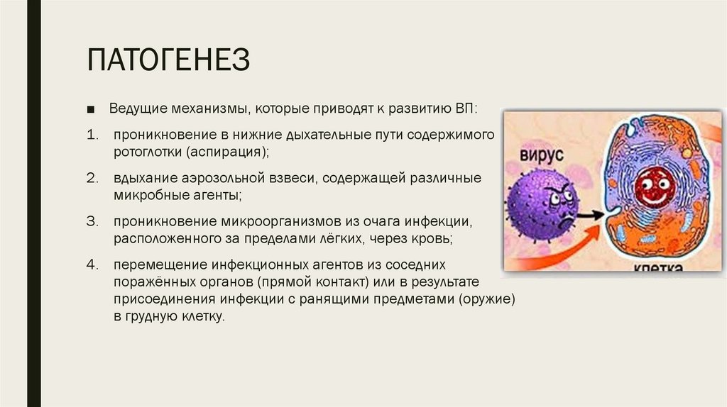 ПАТОГЕНЕЗ