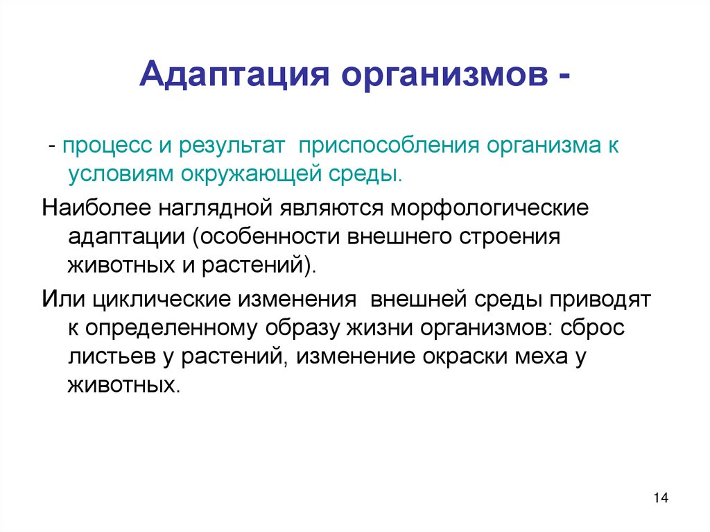 Адаптация организмов -