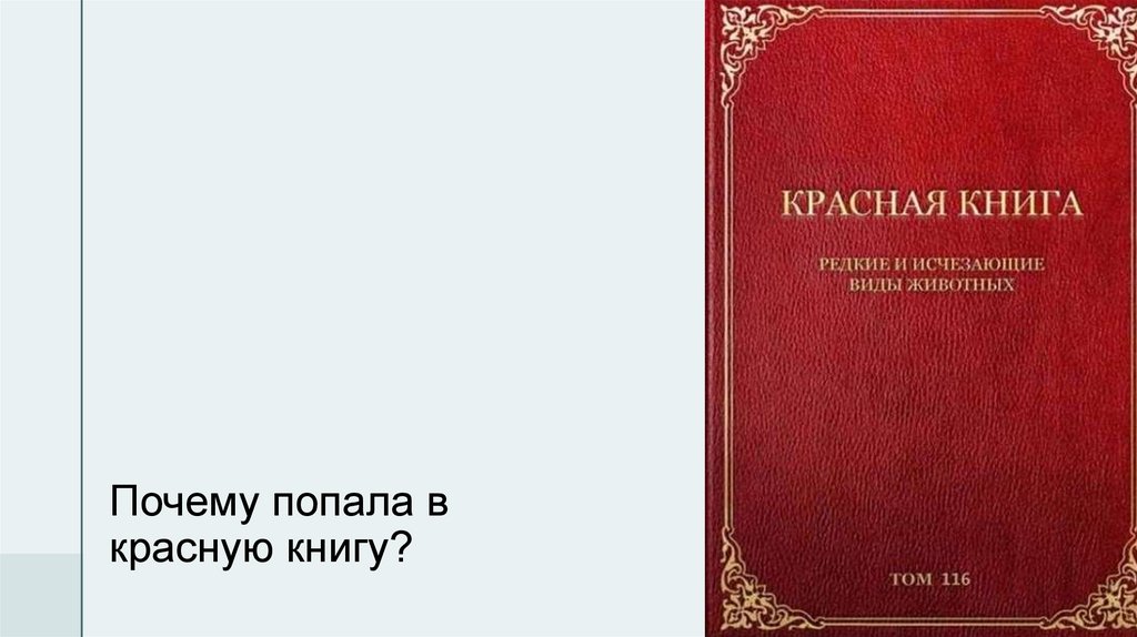 Почему попала в красную книгу?