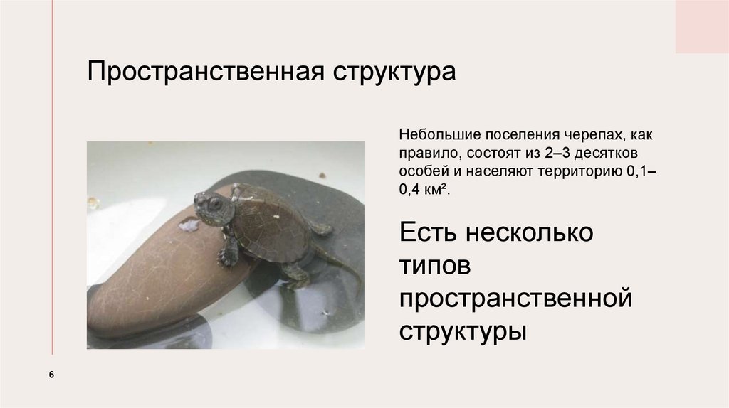 Пространственная структура