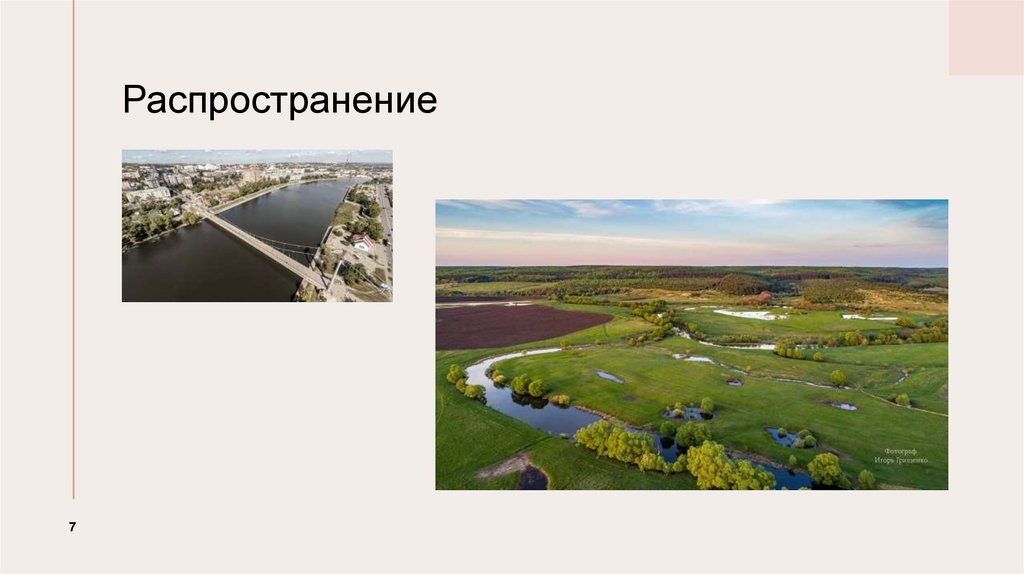 Распространение