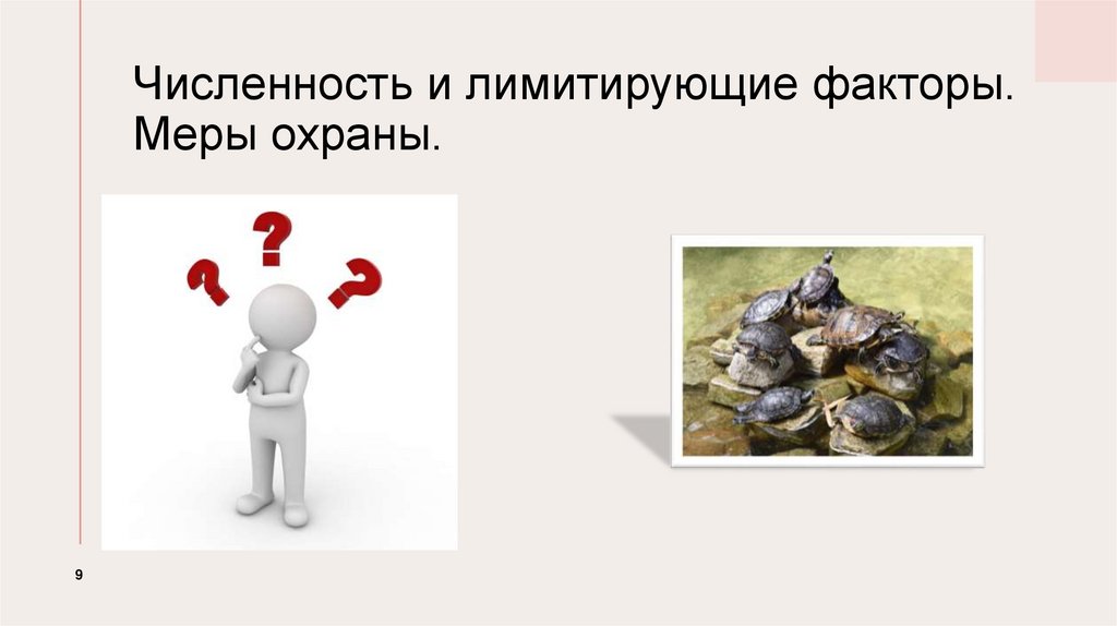 Численность и лимитирующие факторы. Меры охраны.