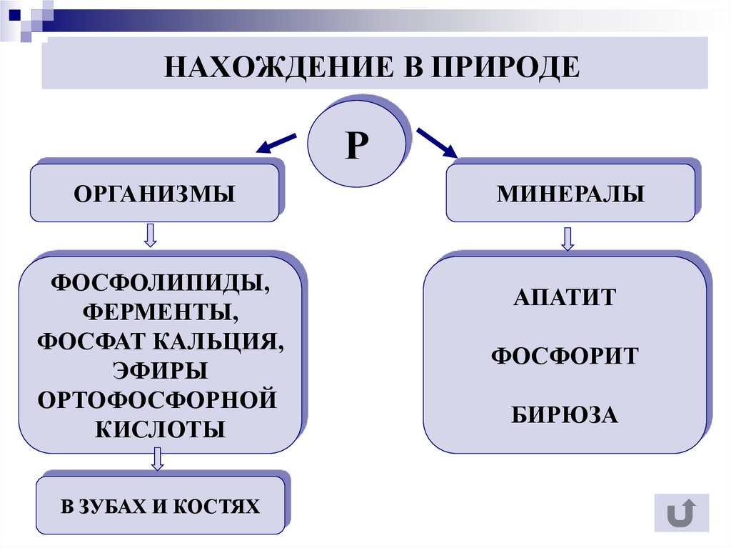 НАХОЖДЕНИЕ В ПРИРОДЕ
