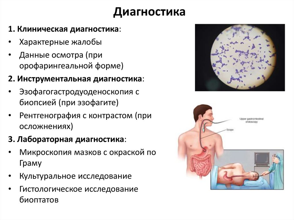 Диагностика