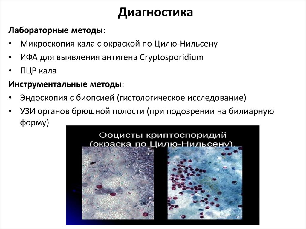 Диагностика