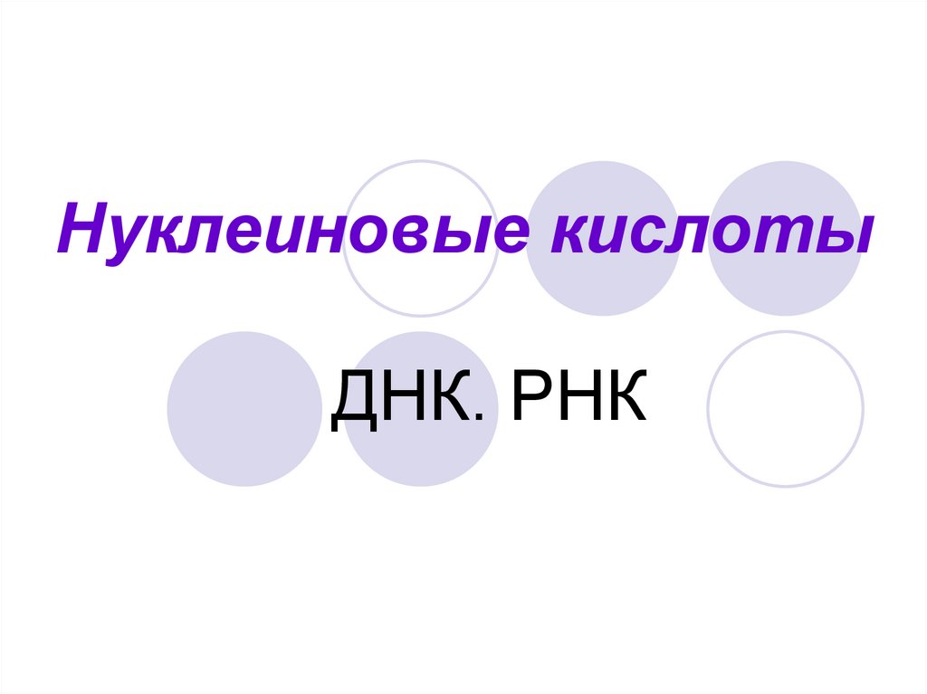 Нуклеиновые кислоты