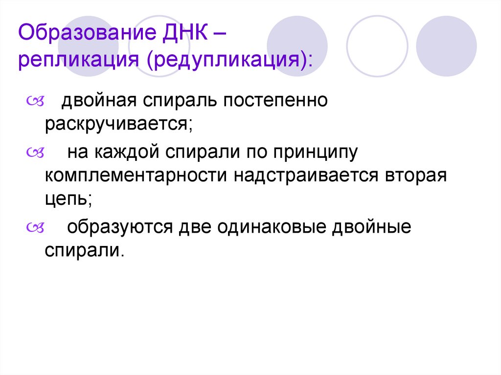 Образование ДНК – репликация (редупликация):