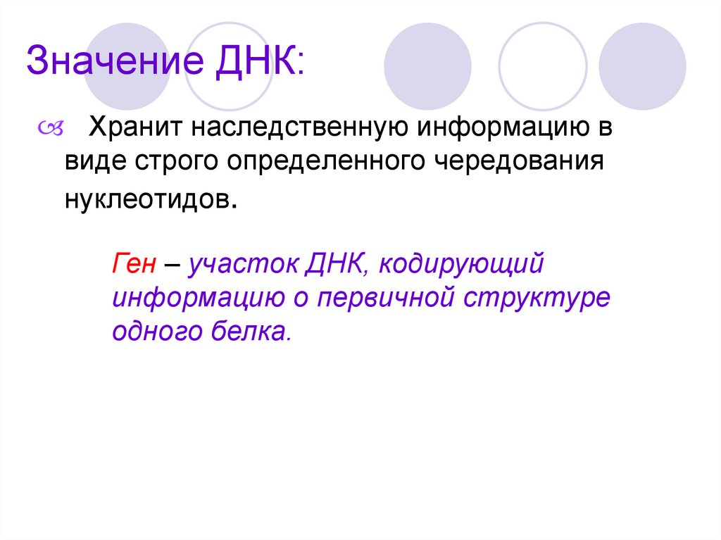 Значение ДНК:
