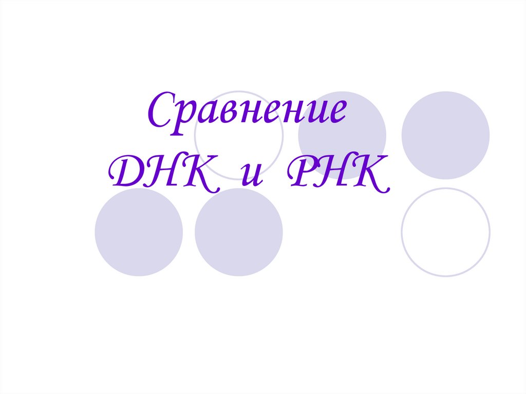 Сравнение ДНК и РНК