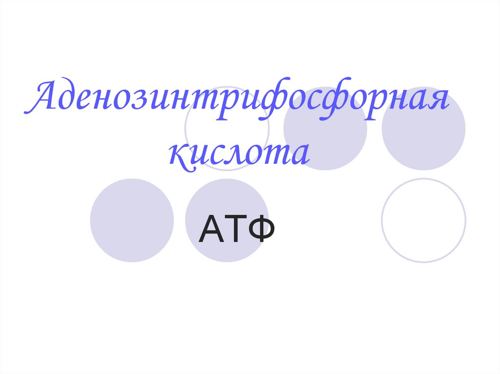 Аденозинтрифосфорная кислота
