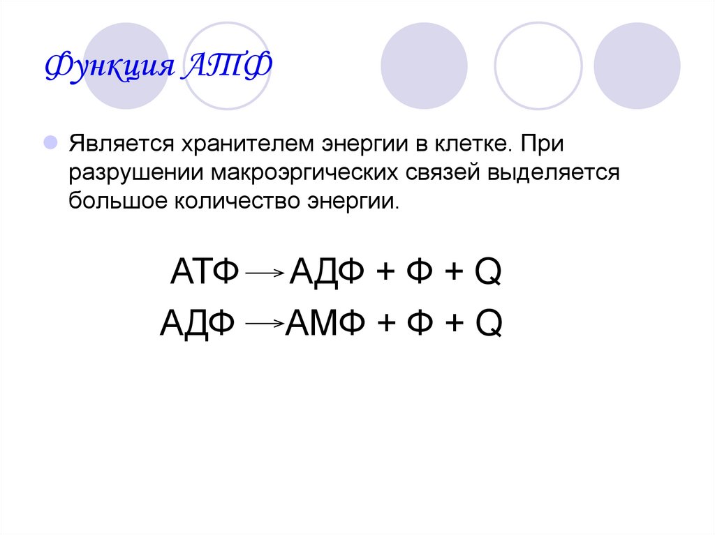 Функция АТФ