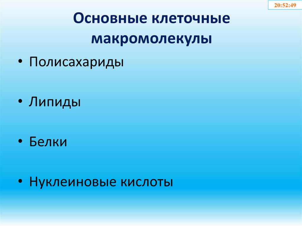 Основные клеточные макромолекулы