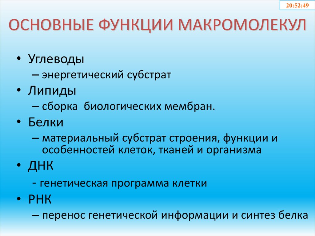 ОСНОВНЫЕ ФУНКЦИИ МАКРОМОЛЕКУЛ