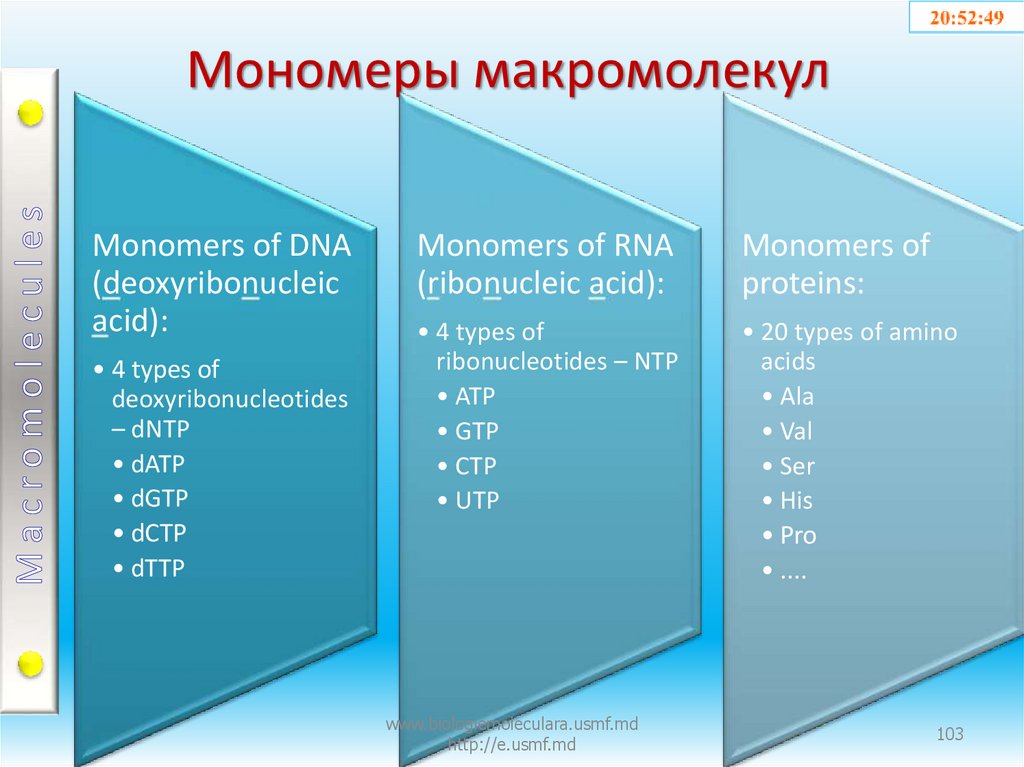 Мономеры макромолекул
