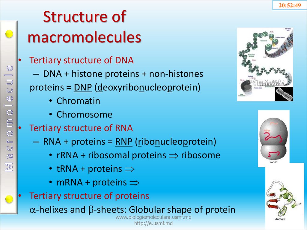 Structure of macromolecules