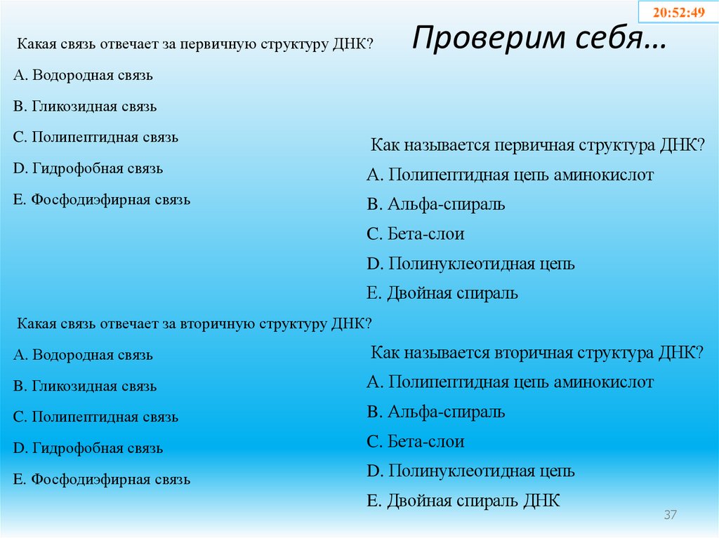 Проверим себя…