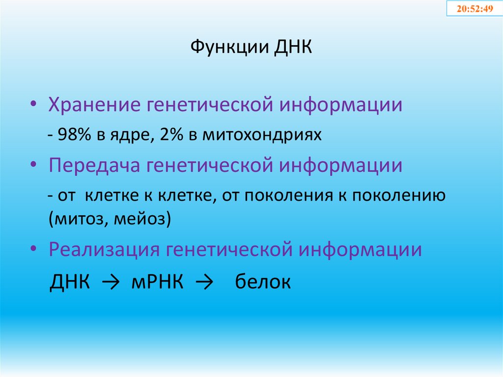 Функции ДНК