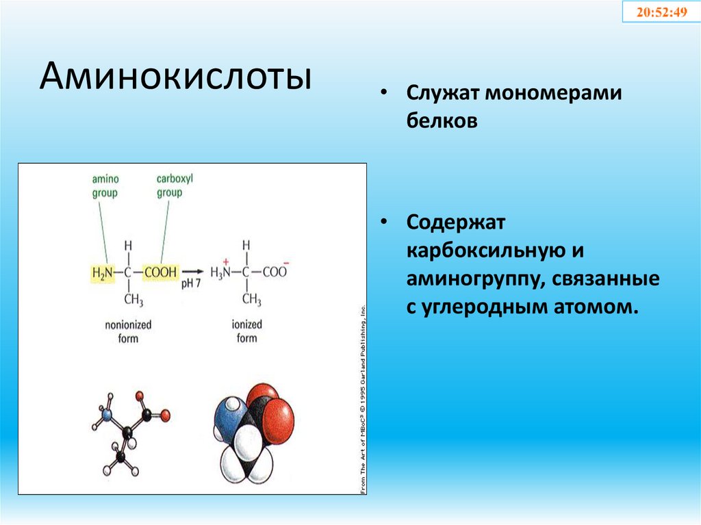 Аминокислоты