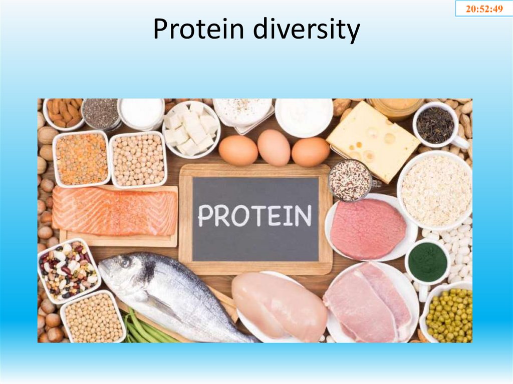 Protein diversity